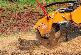 Mulching Services in Douglas, AL